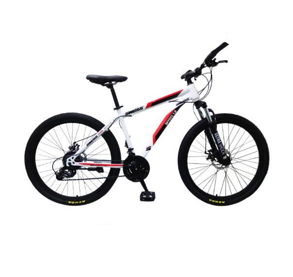 Sweiss Mountain Bicycle - Steel and Pipes Inc.